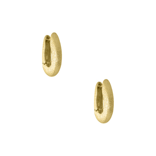 Oval earrings